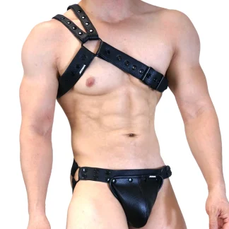 Harnesses