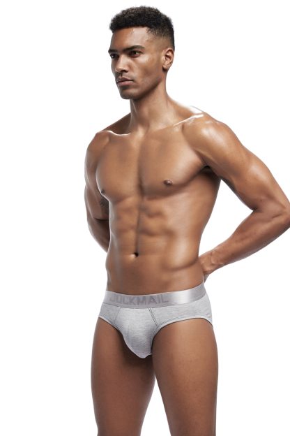 4 Pieces Solid Color Briefs - Image 4