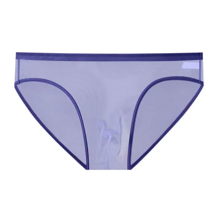 Ultra-thin Transparent Brief - Image 3