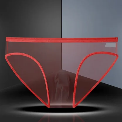 Ultra-thin Transparent Brief